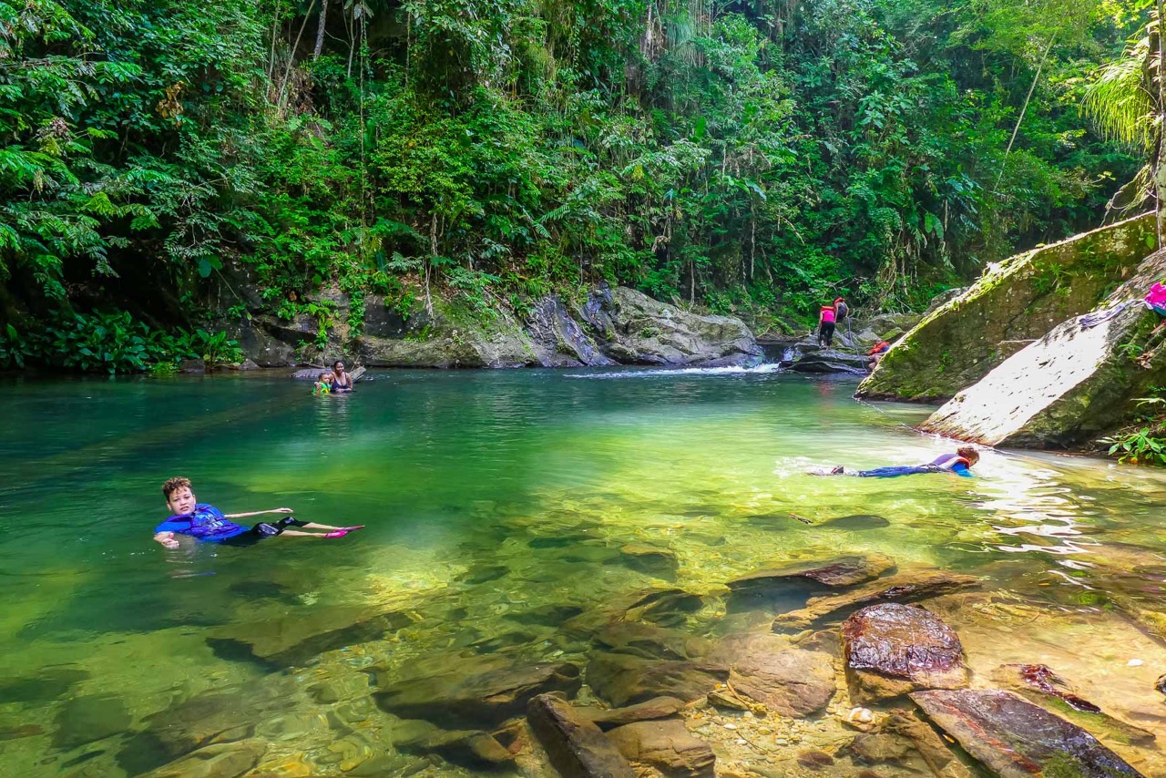 Avocat Waterfall Peek 1