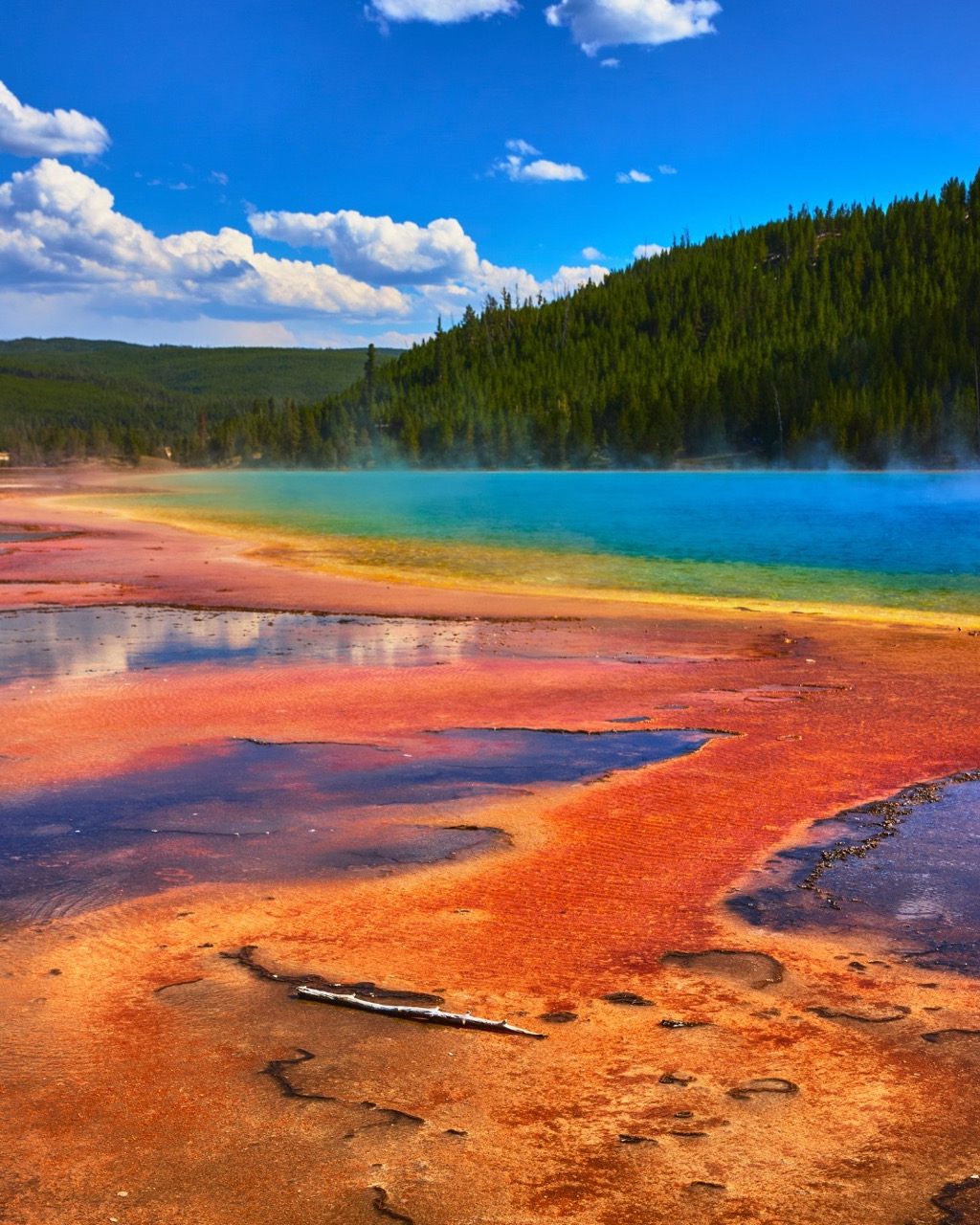 Orange and red bands of color at the edge of Grand Prismatic Spring